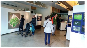 Project Sooth exhibition report